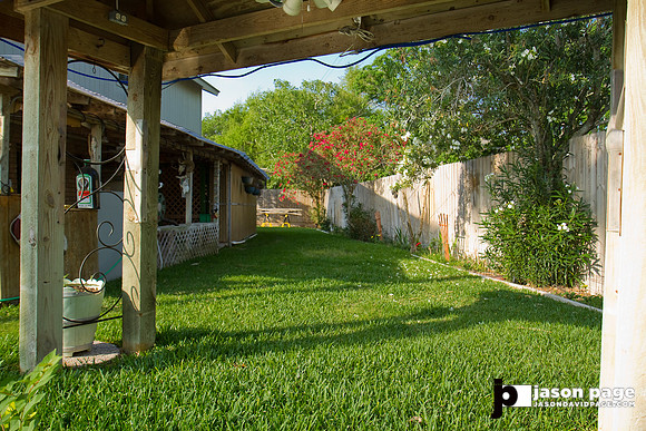 Backyard 2
