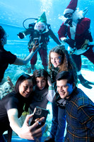 Holiday 2023 Proofs