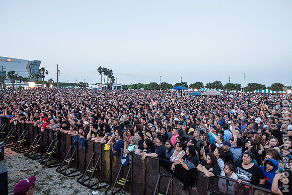 Fiesta de la Flor Crowds