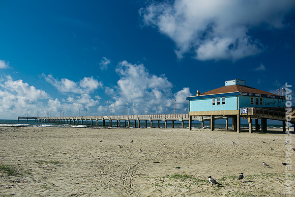 Port Aransas Life