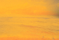 Surf 249 Flyer and CD Template