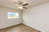 14225 Allamanda