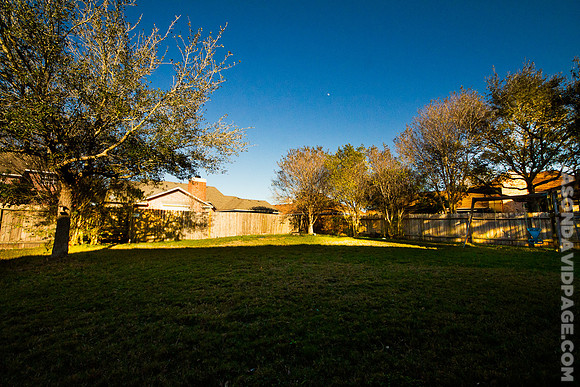 DNU Backyard