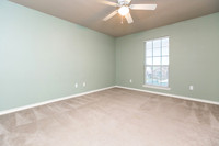 7529 Freds Folly