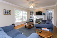 334 Camellia