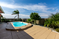 14202 Allamanda