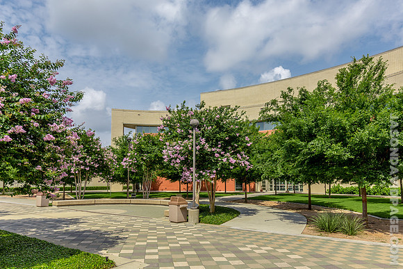 O'Connor Business Building