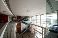 O'Connor Business